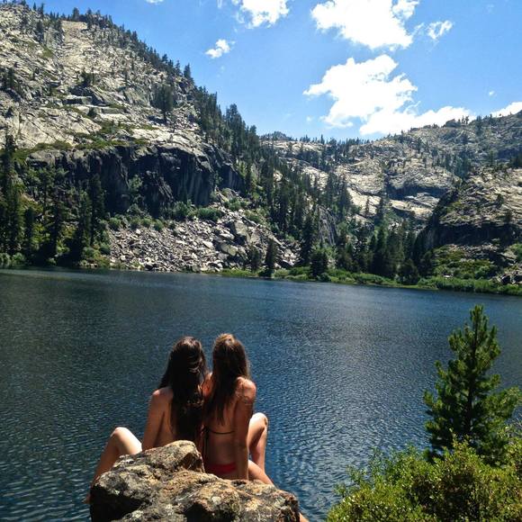 Meet your Posher, Olivia - Picture 1 of 1